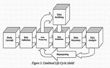 Image of the DDI Life Cycle